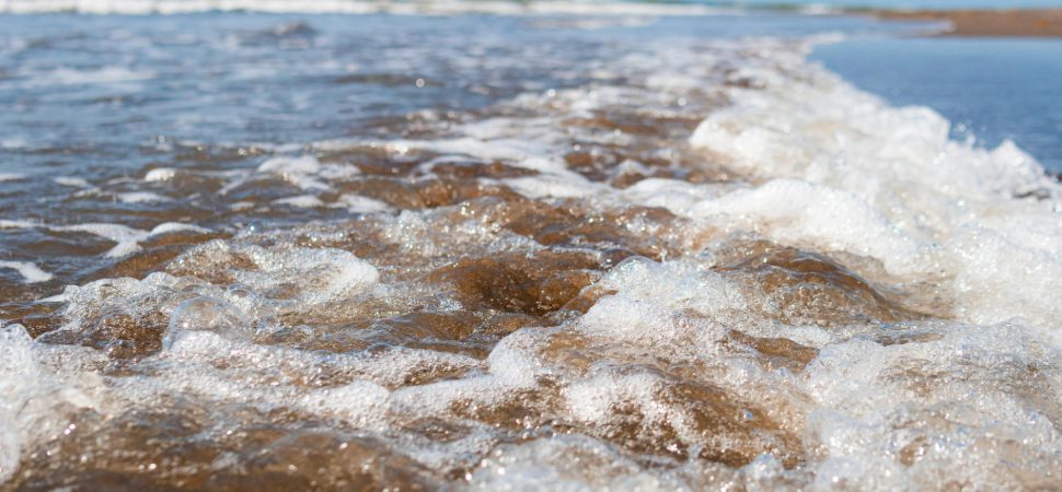 pexels-ian-panelo-20108100-1